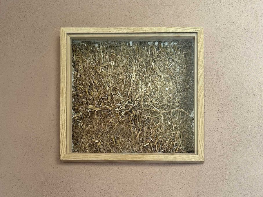 Fassadenfenster mit Durchblick: Holz-Strohbau mit Lehm-Kalkputz. Foto: Stiftung 3FO (FK)